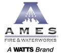 ames icon